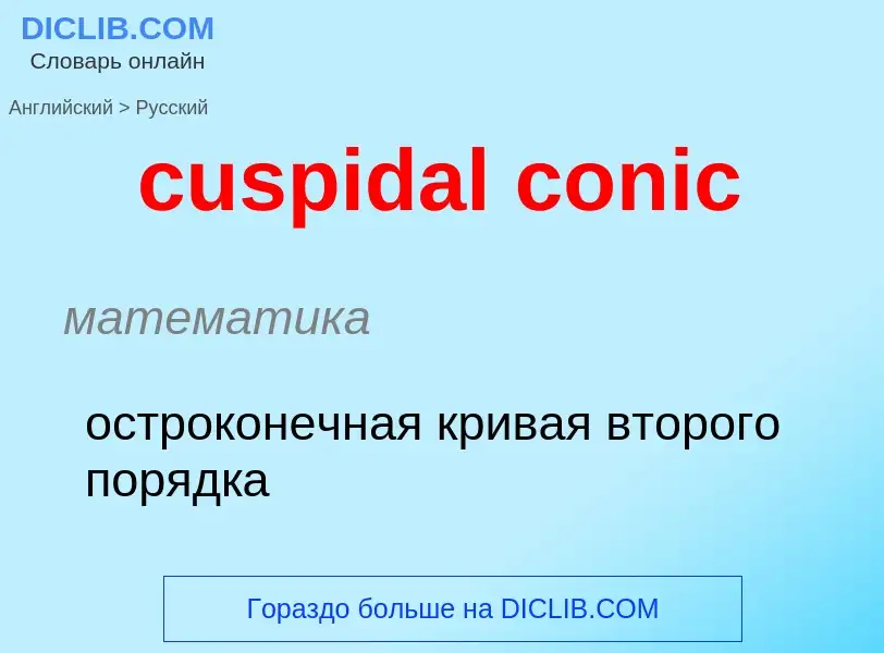 Как переводится cuspidal conic на Русский язык