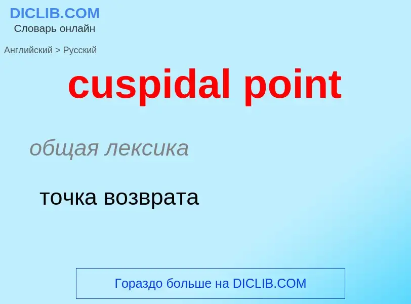 Как переводится cuspidal point на Русский язык