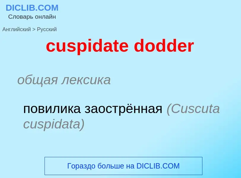 Как переводится cuspidate dodder на Русский язык