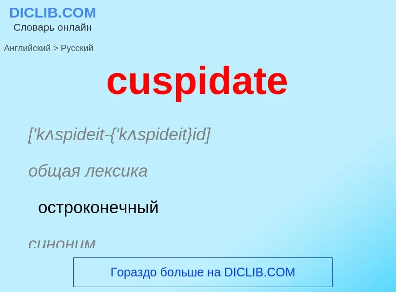 Как переводится cuspidate на Русский язык