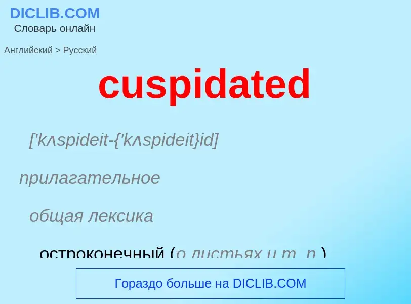 Как переводится cuspidated на Русский язык