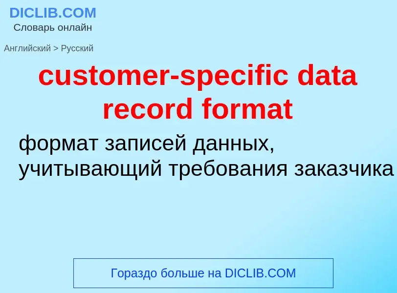 Как переводится customer-specific data record format на Русский язык