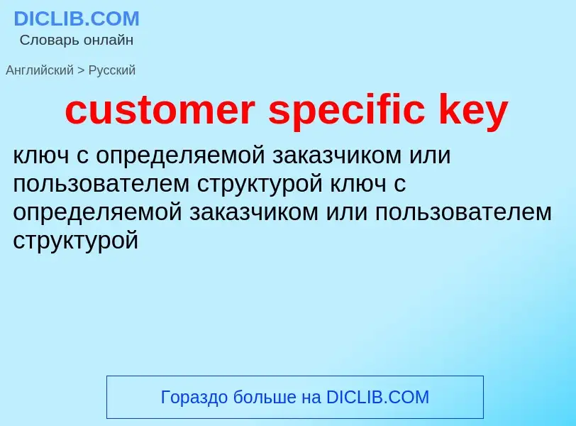 What is the Russian for customer specific key? Translation of &#39customer specific key&#39 to Russi