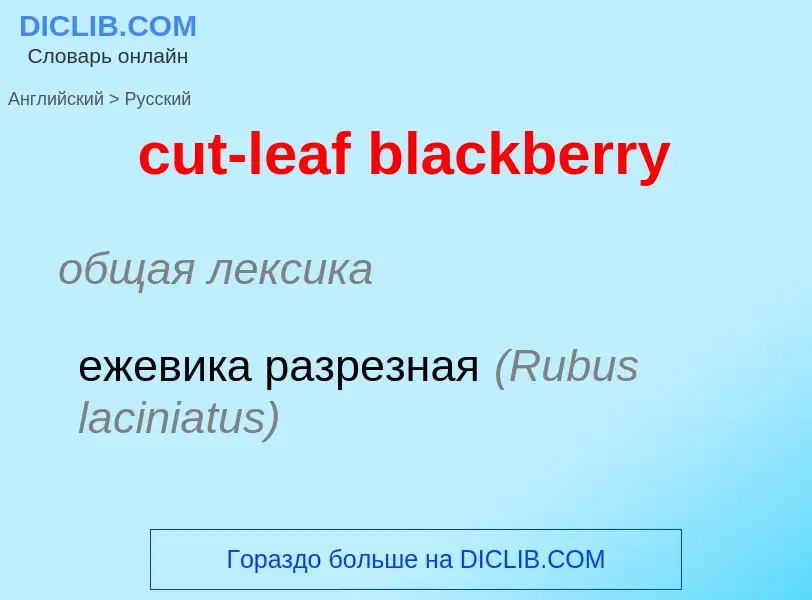 Как переводится cut-leaf blackberry на Русский язык