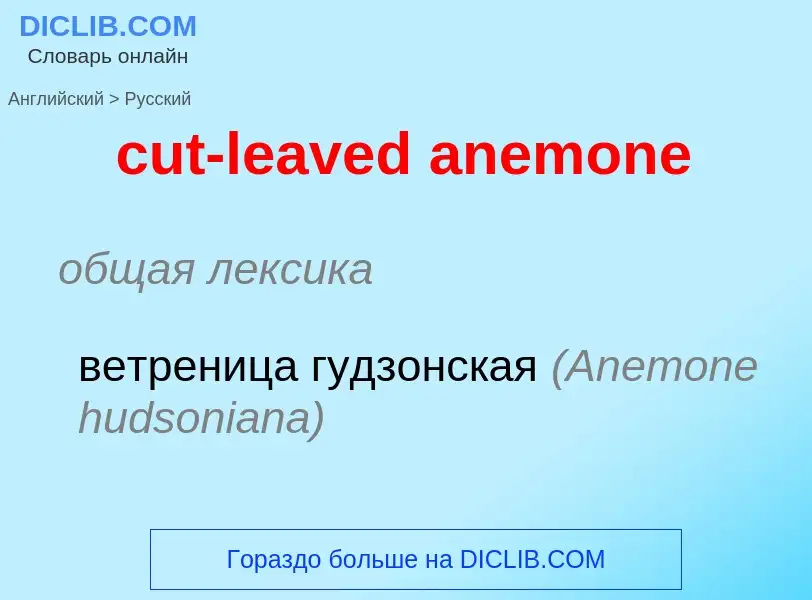 Как переводится cut-leaved anemone на Русский язык