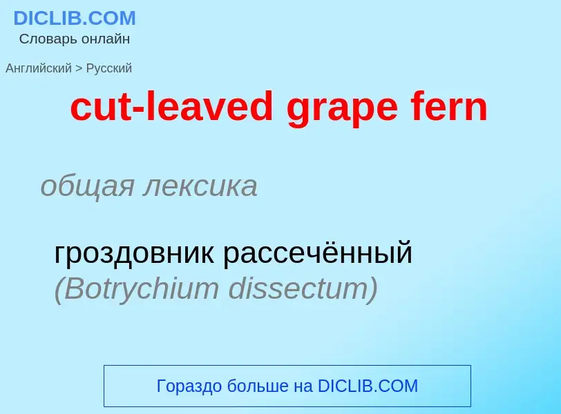 Как переводится cut-leaved grape fern на Русский язык