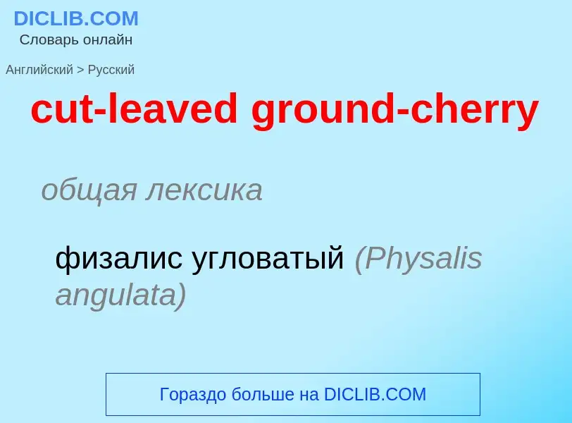 Как переводится cut-leaved ground-cherry на Русский язык