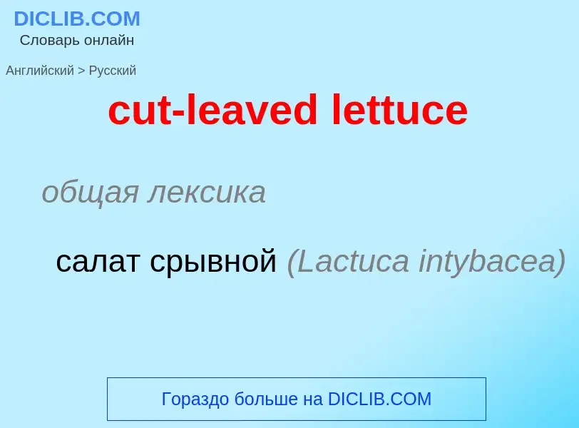 Как переводится cut-leaved lettuce на Русский язык