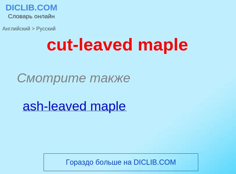 Как переводится cut-leaved maple на Русский язык