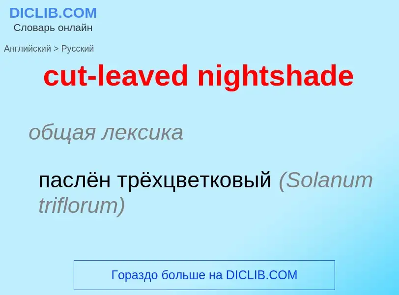 Как переводится cut-leaved nightshade на Русский язык