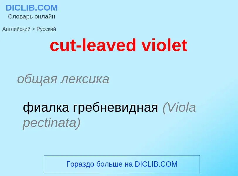 Как переводится cut-leaved violet на Русский язык