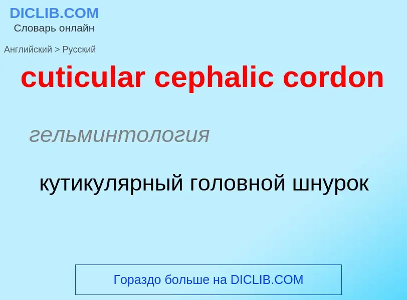 Как переводится cuticular cephalic cordon на Русский язык