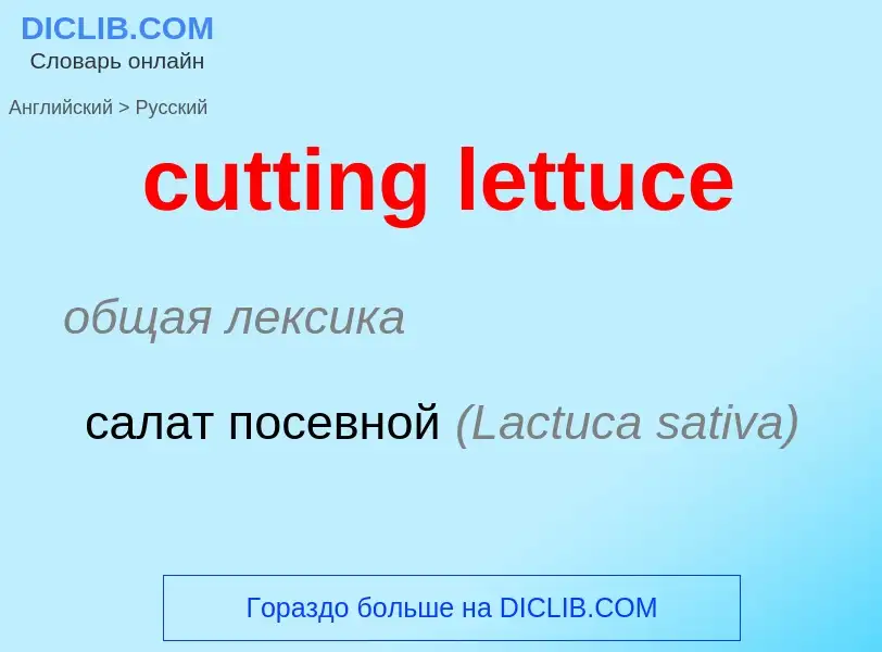 Как переводится cutting lettuce на Русский язык