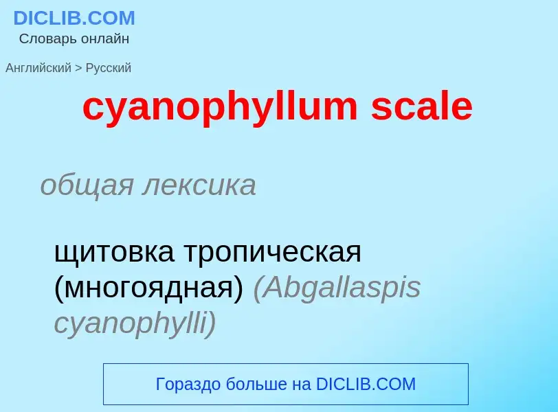 Как переводится cyanophyllum scale на Русский язык