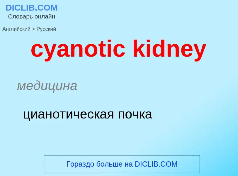 Как переводится cyanotic kidney на Русский язык