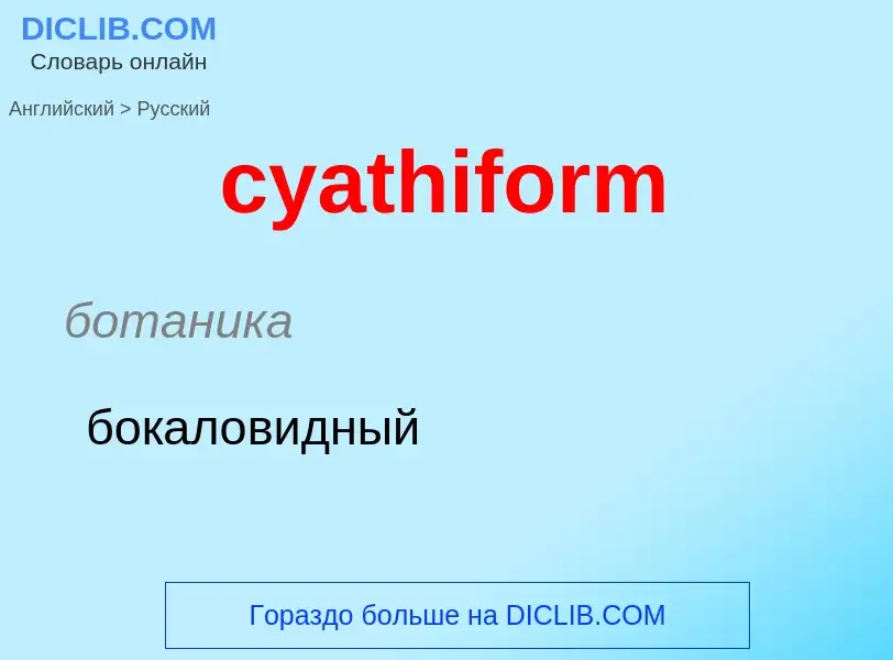 Как переводится cyathiform на Русский язык