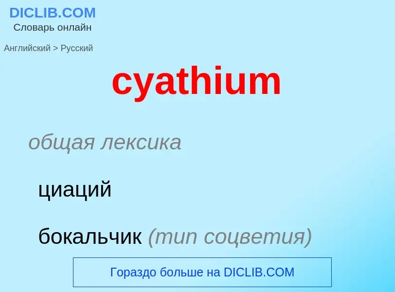 Как переводится cyathium на Русский язык