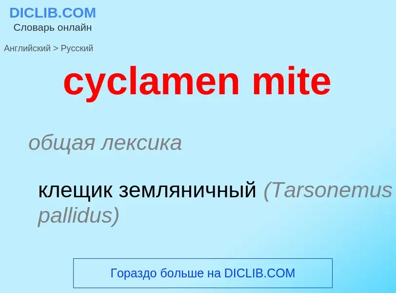 Как переводится cyclamen mite на Русский язык