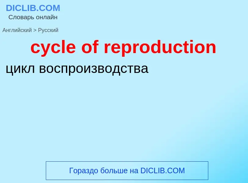 Как переводится cycle of reproduction на Русский язык