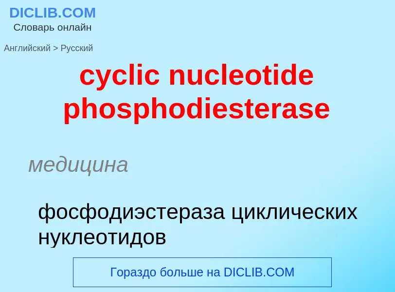 Как переводится cyclic nucleotide phosphodiesterase на Русский язык