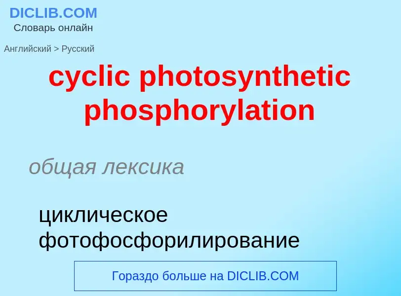 Как переводится cyclic photosynthetic phosphorylation на Русский язык