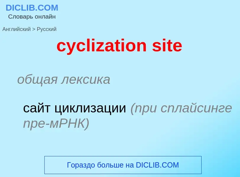 ¿Cómo se dice cyclization site en Ruso? Traducción de &#39cyclization site&#39 al Ruso