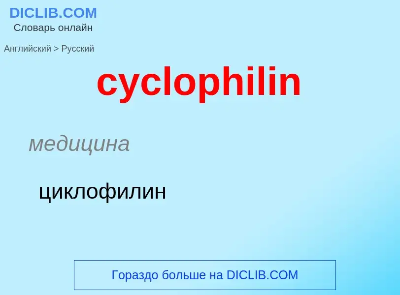 Как переводится cyclophilin на Русский язык