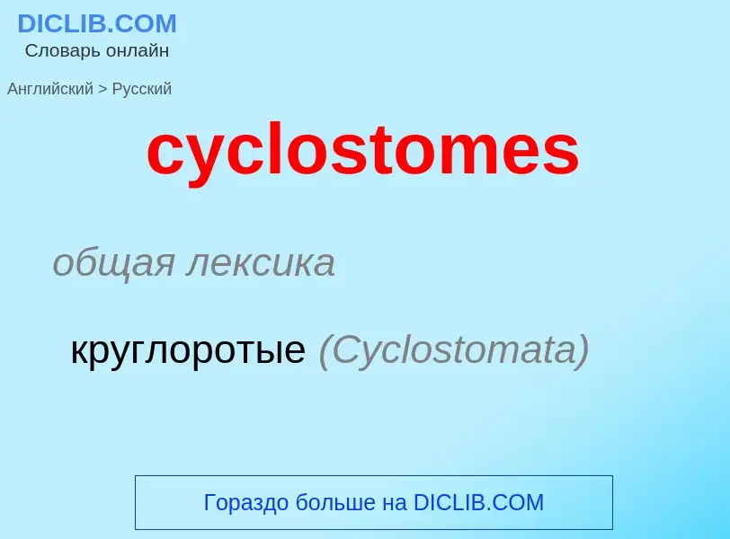 Как переводится cyclostomes на Русский язык