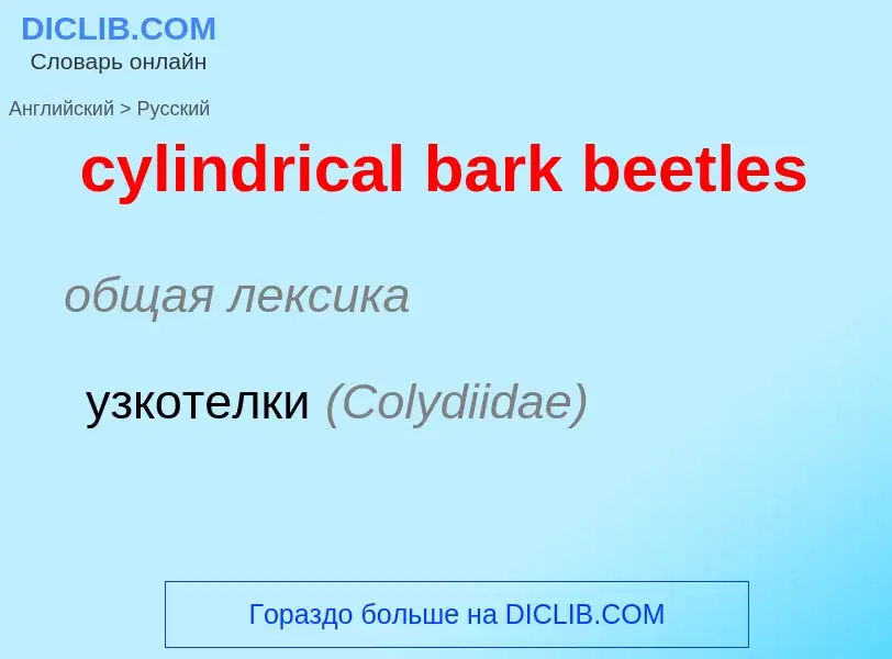 Как переводится cylindrical bark beetles на Русский язык