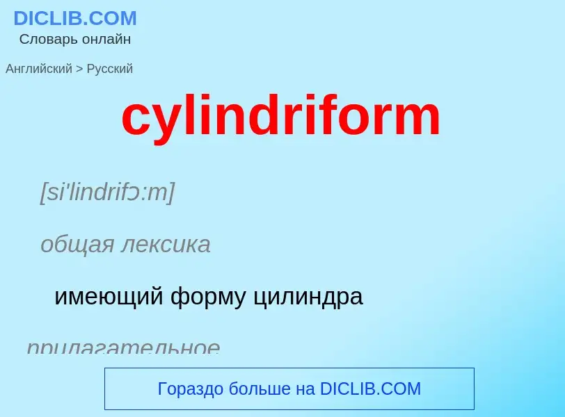 Как переводится cylindriform на Русский язык