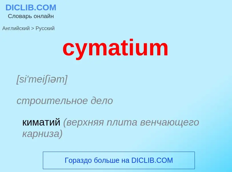 Как переводится cymatium на Русский язык