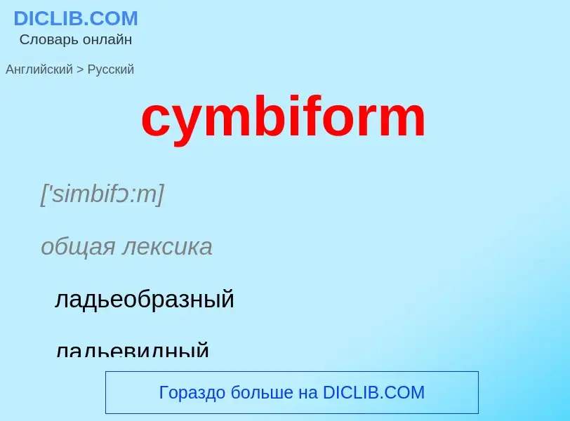 Как переводится cymbiform на Русский язык