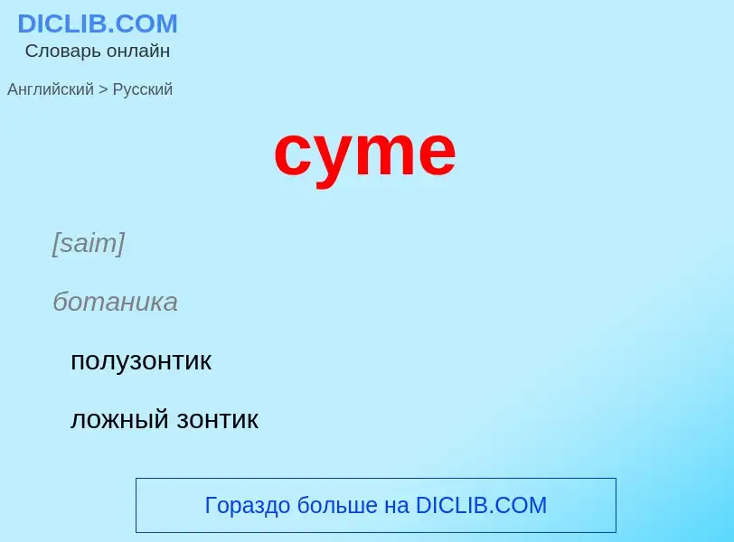 Как переводится cyme на Русский язык