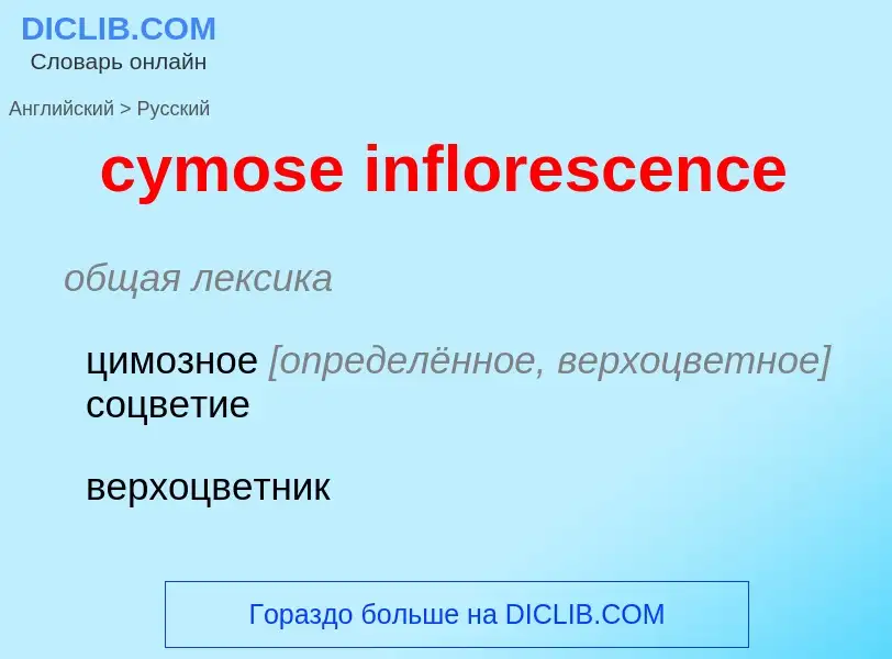 Как переводится cymose inflorescence на Русский язык