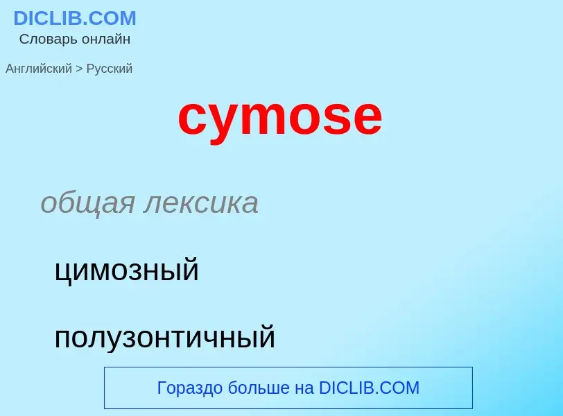 Übersetzung von &#39cymose&#39 in Russisch