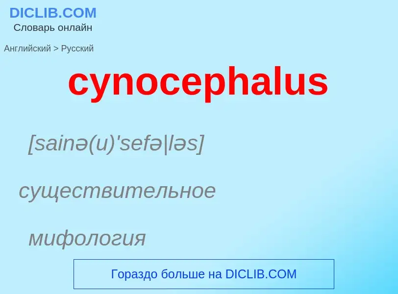 Как переводится cynocephalus на Русский язык