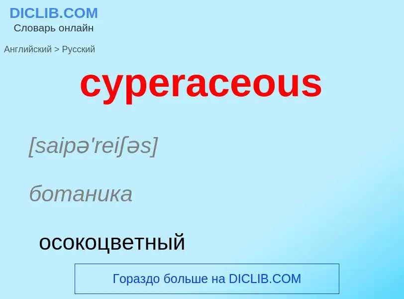 Как переводится cyperaceous на Русский язык