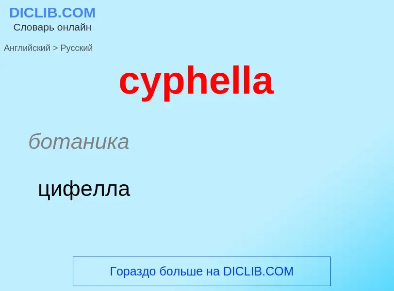 Как переводится cyphella на Русский язык