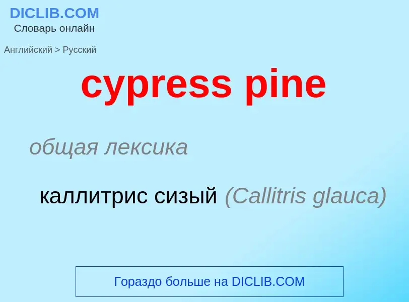 Как переводится cypress pine на Русский язык