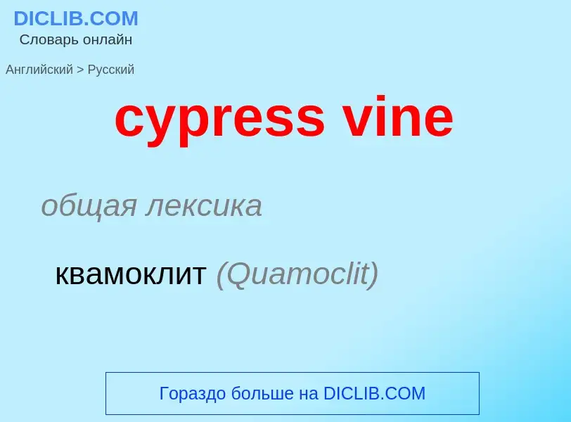 Как переводится cypress vine на Русский язык