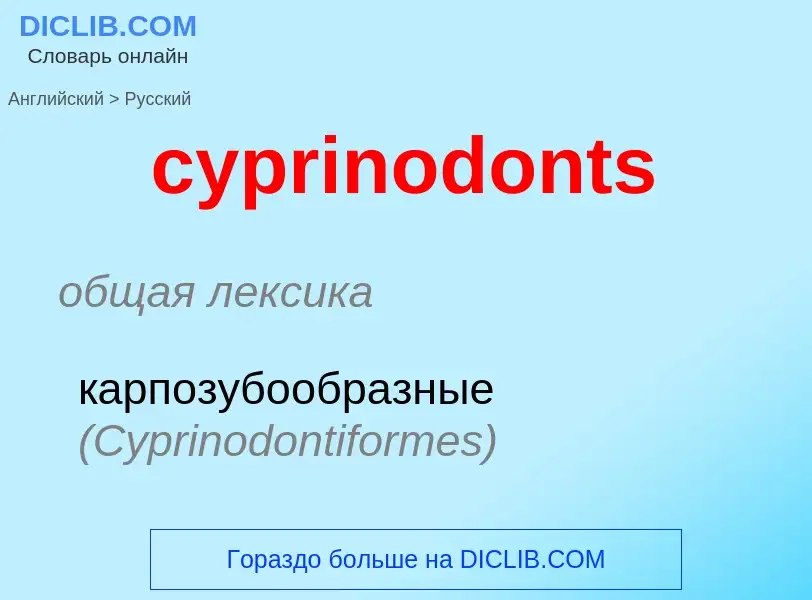 Как переводится cyprinodonts на Русский язык