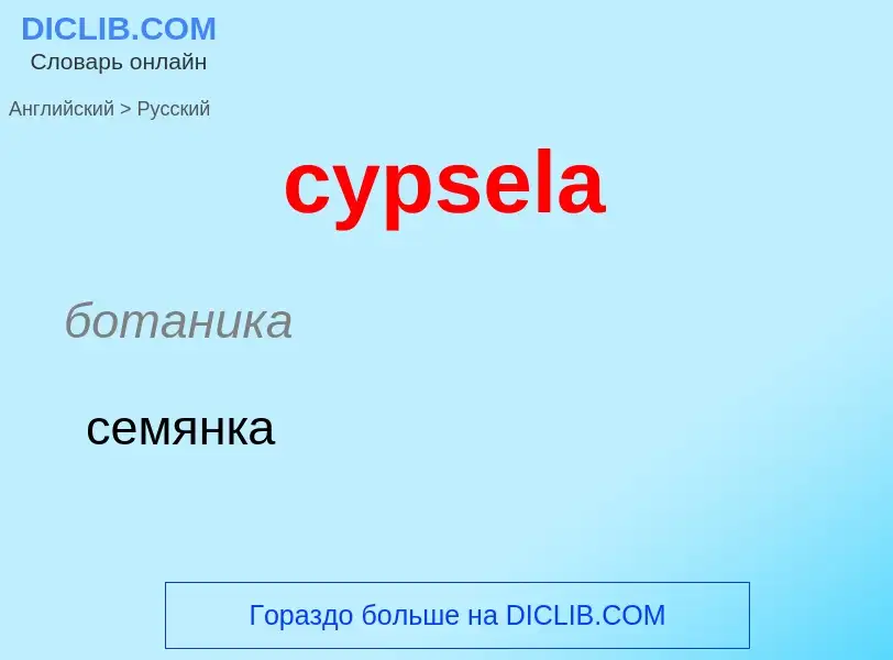 Как переводится cypsela на Русский язык