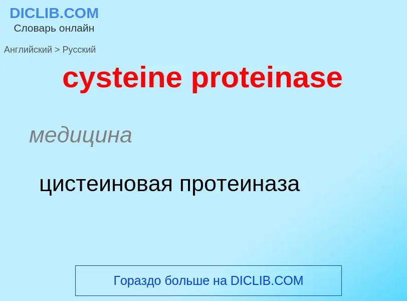 Как переводится cysteine proteinase на Русский язык