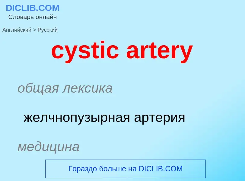 Как переводится cystic artery на Русский язык