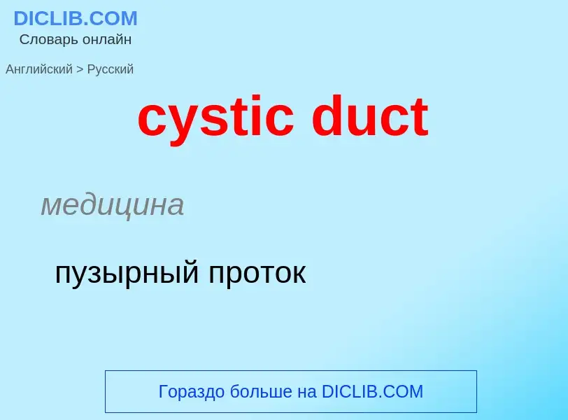 Как переводится cystic duct на Русский язык