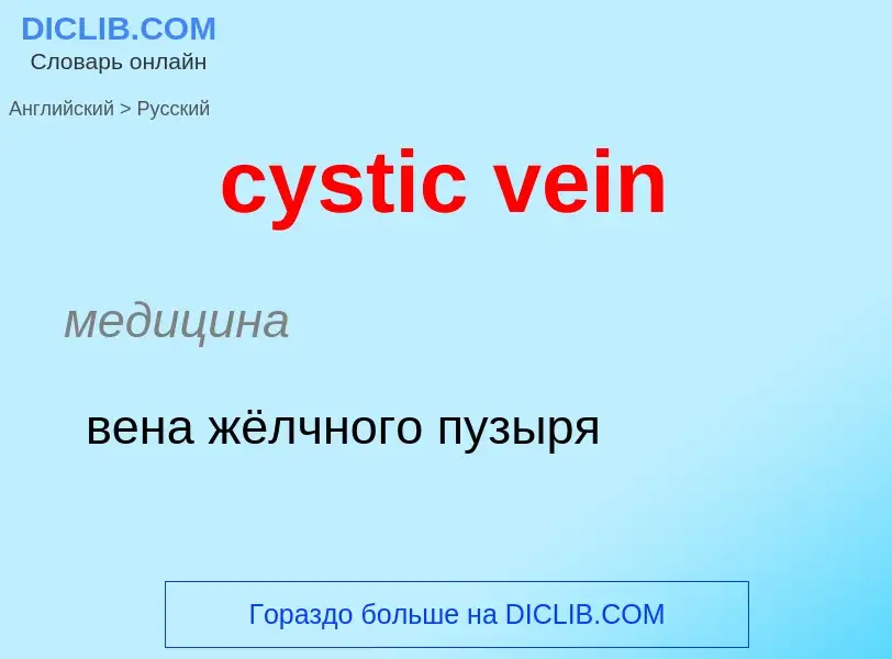 Как переводится cystic vein на Русский язык