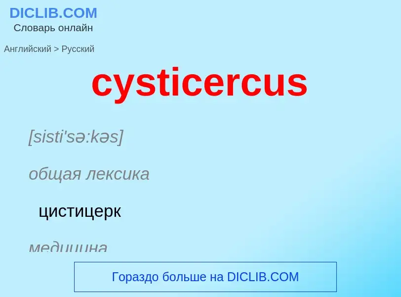 Как переводится cysticercus на Русский язык