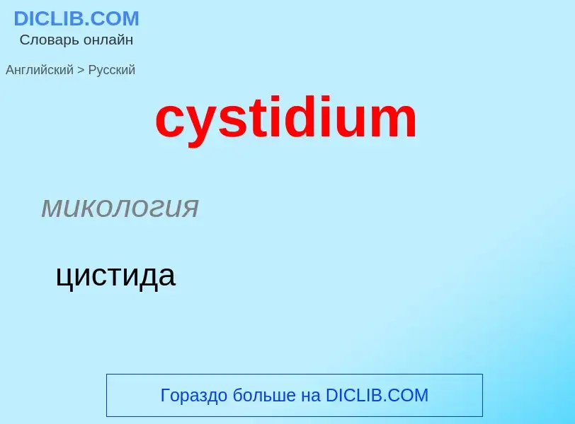 Как переводится cystidium на Русский язык