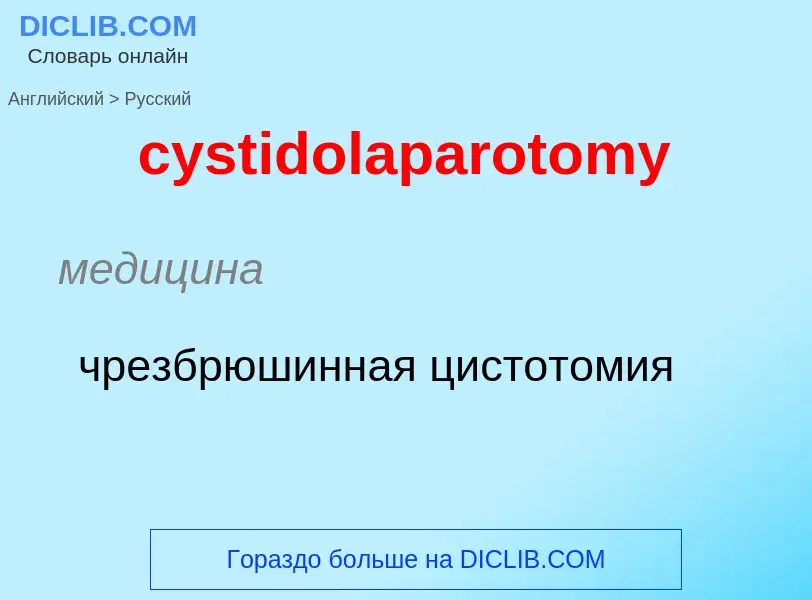 Как переводится cystidolaparotomy на Русский язык