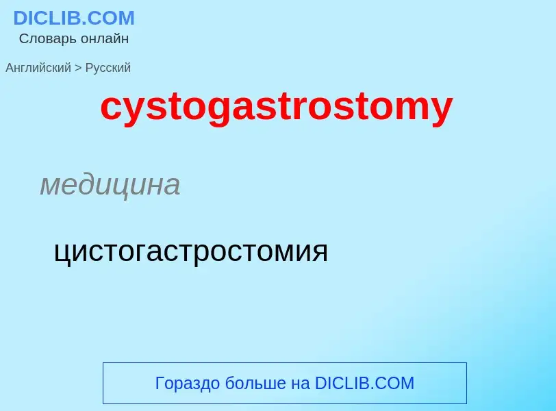 Как переводится cystogastrostomy на Русский язык